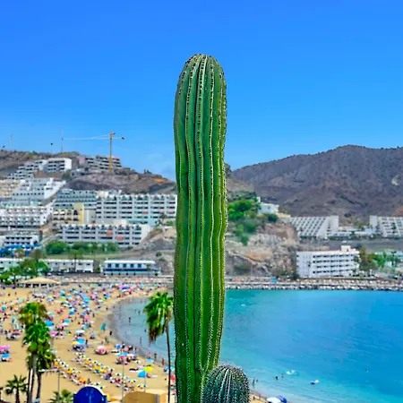 Hotel Punta Del Rey (adults Only)